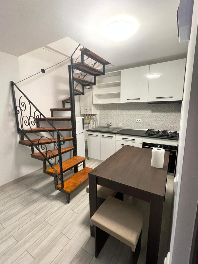 Casa Dan Apartment Бузау Екстериор снимка