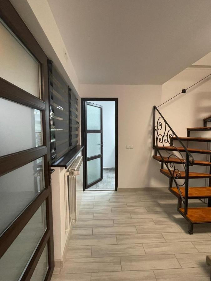 Casa Dan Apartment Бузау Екстериор снимка