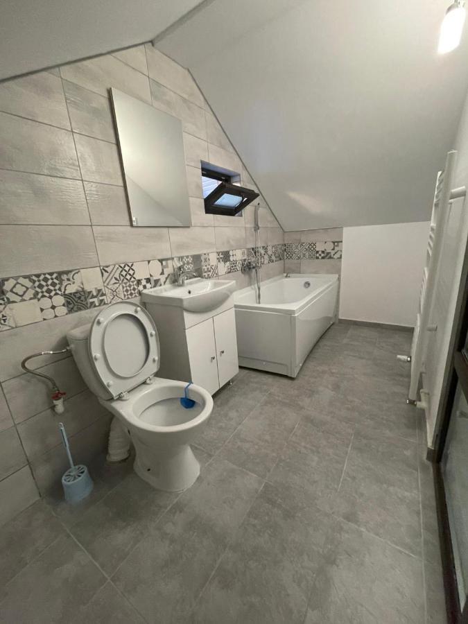 Casa Dan Apartment Бузау Екстериор снимка