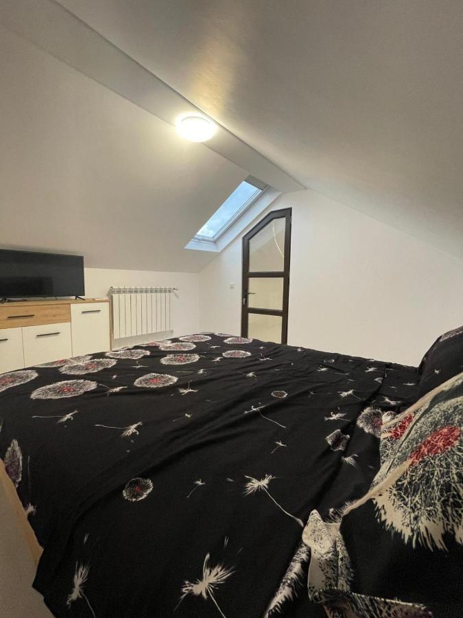 Casa Dan Apartment Бузау Екстериор снимка