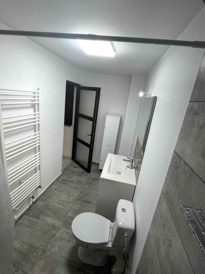 Casa Dan Apartment Бузау Екстериор снимка