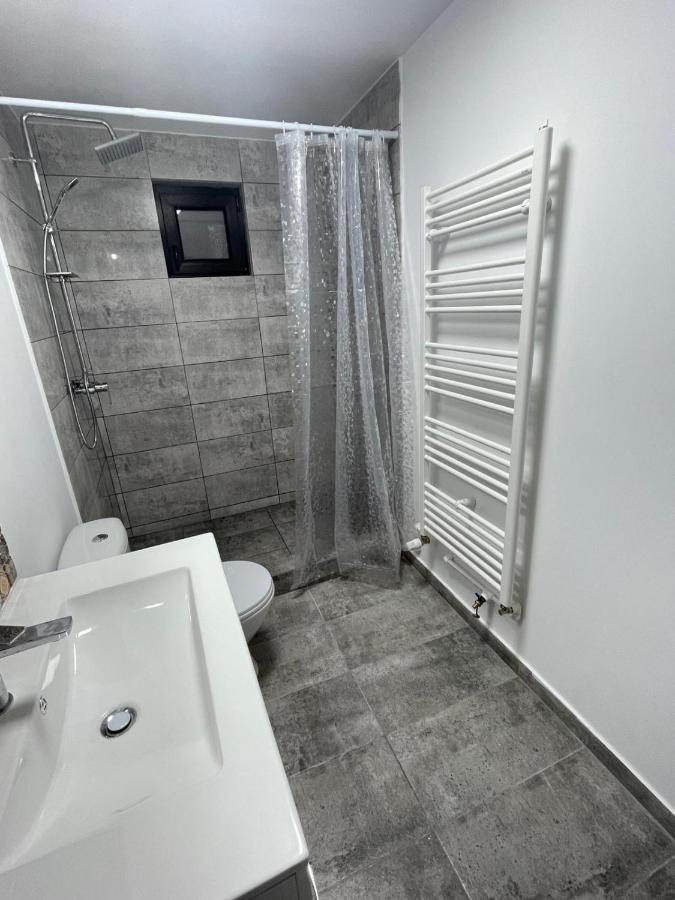 Casa Dan Apartment Бузау Екстериор снимка
