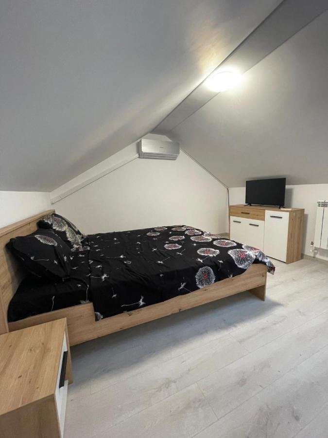 Casa Dan Apartment Бузау Екстериор снимка