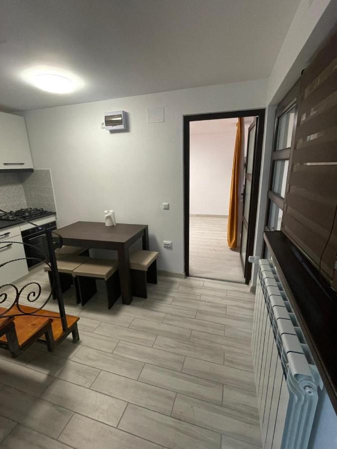 Casa Dan Apartment Бузау Екстериор снимка