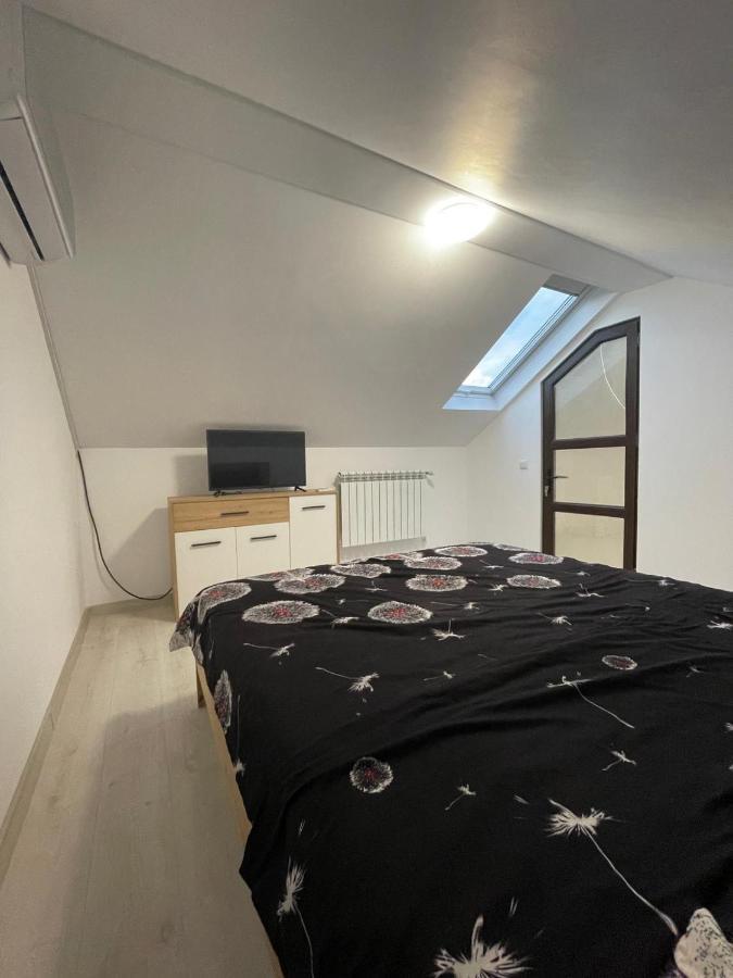 Casa Dan Apartment Бузау Екстериор снимка
