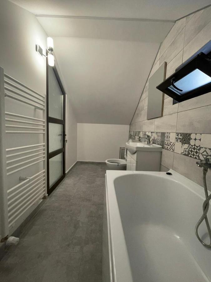 Casa Dan Apartment Бузау Екстериор снимка